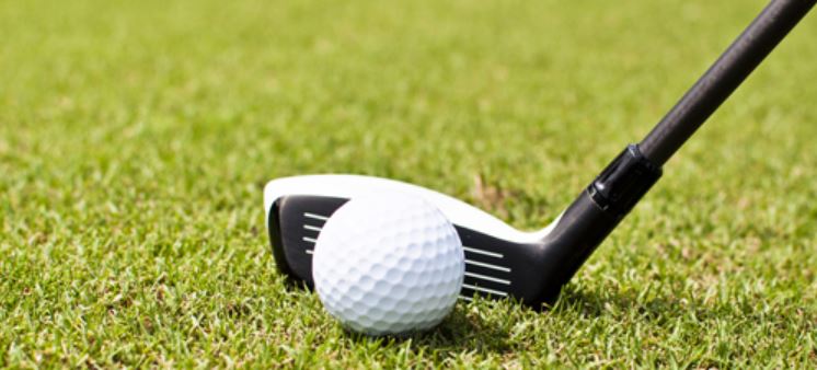 info-746-338 Golf-Hybrids-2