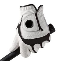 Glove Stanford