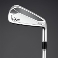 Professional Custom Forged Iron Heads Precision Balanced 1020 Carbon Steel With USGA Approved Grooves